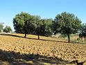 MTBTOSCANA2011  (327)